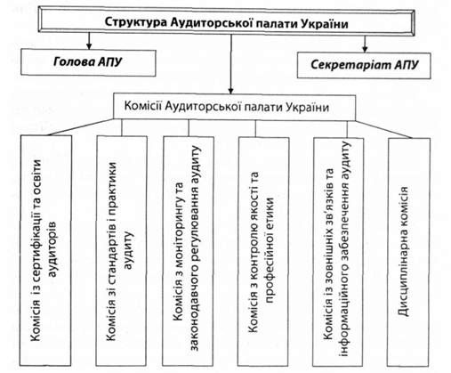 структура аудиторської палати україни