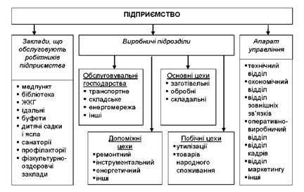 загальна структура виробничого підприємства