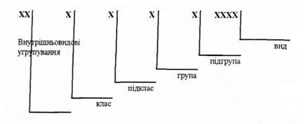 модель структури кодового позначення зкп/вку