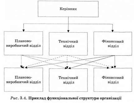 приклад функціональної структури організації 