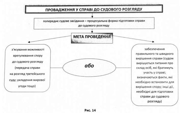провадження у справі до судового розгляду