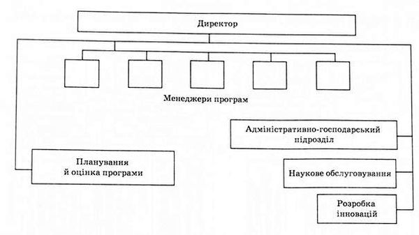 організаційна структура, орієнтована на продукт чи програму 