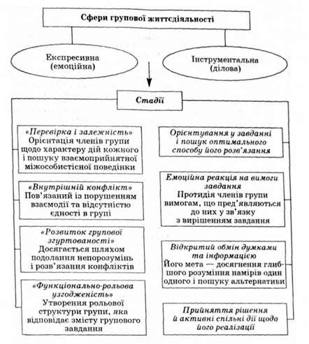 двовимірна модель розвитку групи (за б. такменом)