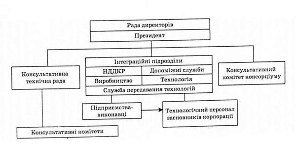 організаційна структура консорціуму, спрямованого на науково-пошукову діяльність