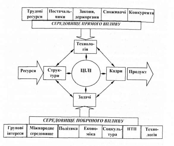взаємозв'язок елементів зовнішнього і внутрішнього середовища фірми
