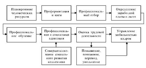 управление человеческими ресурсами на предприятии 