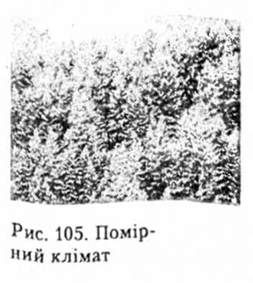 помірний клімат