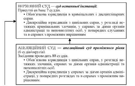 структура судів штату