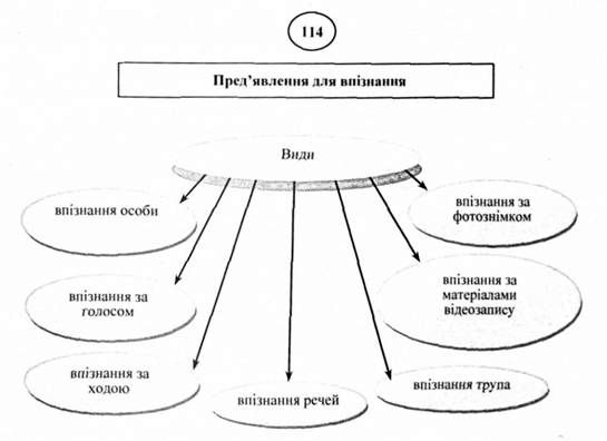 пред'явлення для впізнання