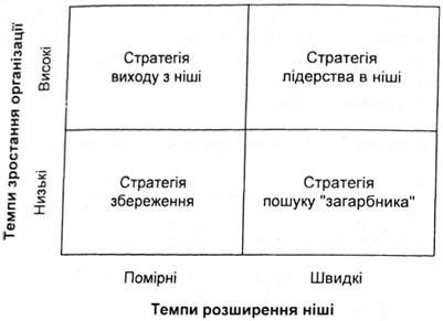 основні стратегії середньої організації