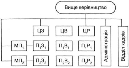матрична організація